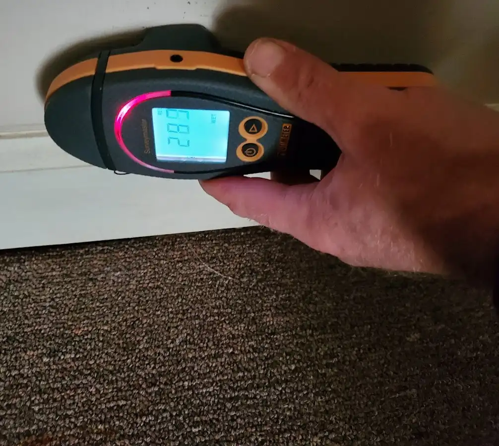 Moisture detection at baseboard during Mold Inspection & Testing in Jamestown